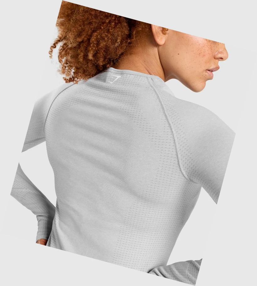 Gymshark Vital Seamless 2.0 Top Naisten T Paidat Vaaleanharmaat | MSLVYW423