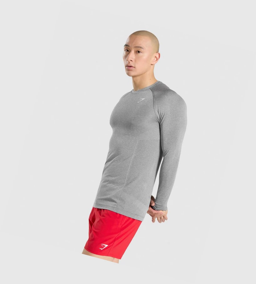 Gymshark Vital Seamless Miesten T Paidat Harmaat | VSIEPK851