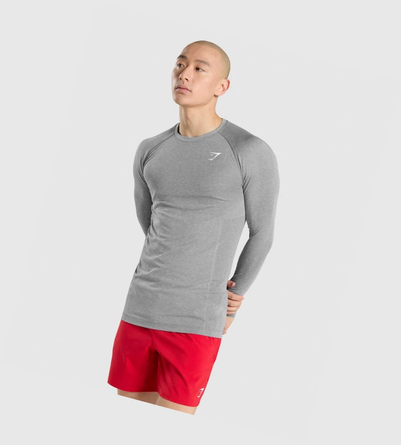 Gymshark Vital Seamless Miesten T Paidat Harmaat | VSIEPK851