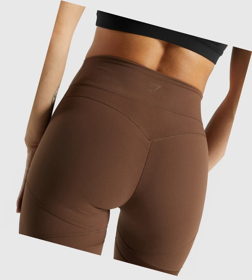 Gymshark Whitney Mesh High Waisted Naisten Leggingsit Ruskea | SOUMHN061